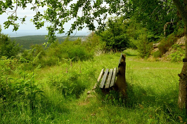 的表现更加 的表现更加