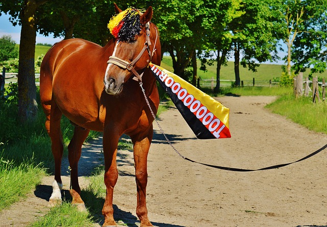 这样的惨败 这样的惨败