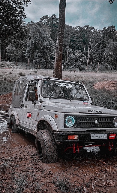 行動才是打 行動才是打