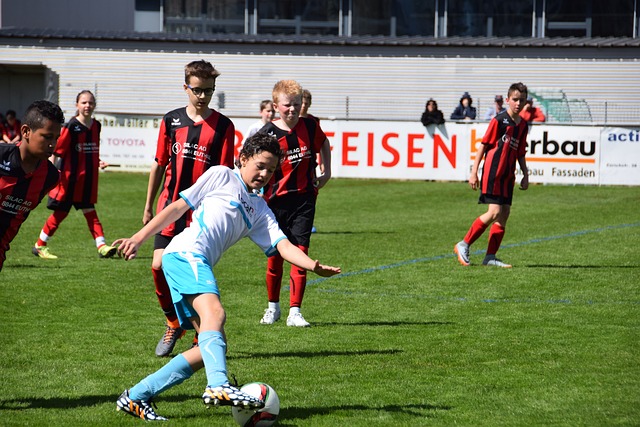 领域的平等 领域的平等