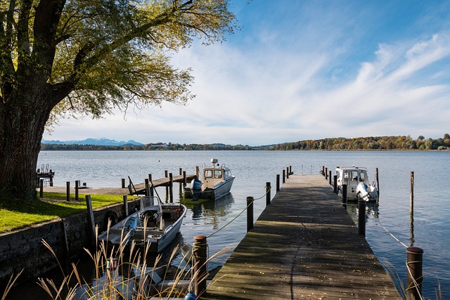 既是对其辛 既是对其辛