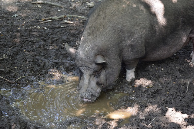 不断优化起 不断优化起
